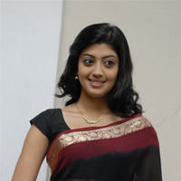 Praneetha hot in transparent black saree